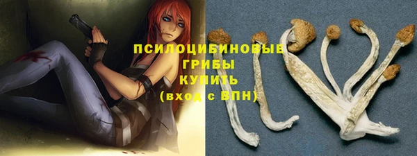 мет Абинск