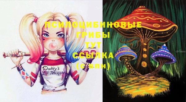 apvp Абаза