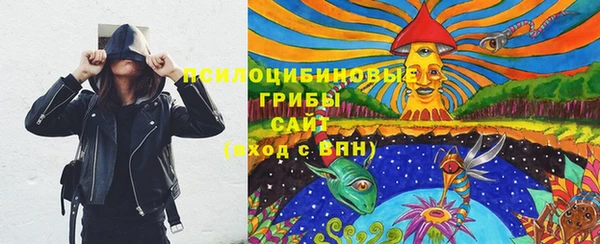 apvp Абаза