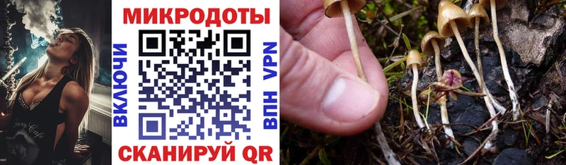 kraken ONION  Углегорск  Псилоцибиновые грибы Psilocybe 